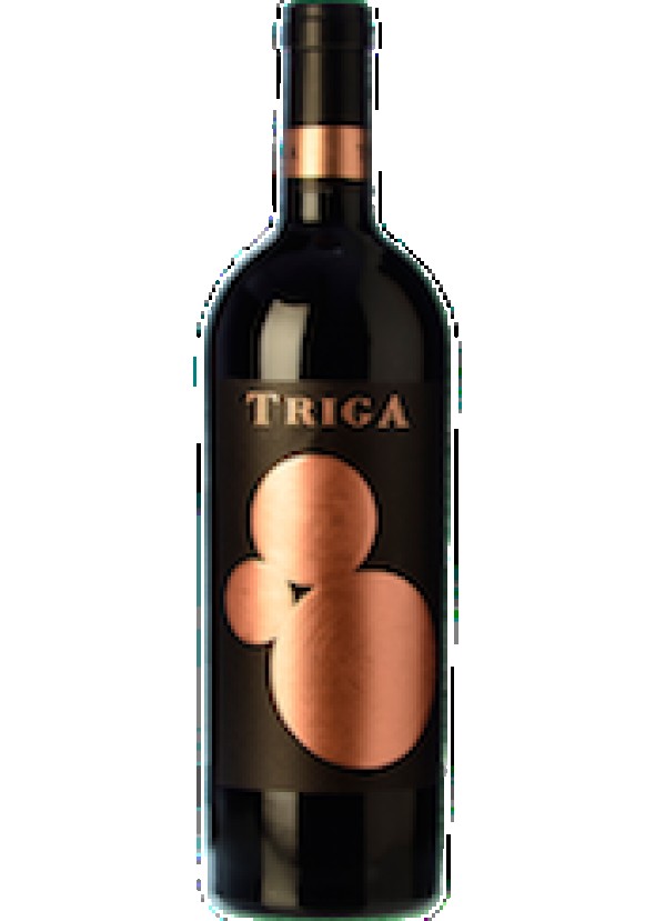 Imagen TRIGA