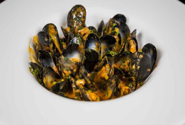 Imagen Mejillones Bouchot