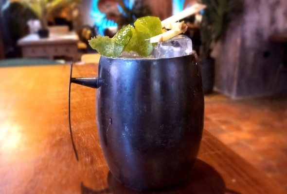 Imagen Moscow mule