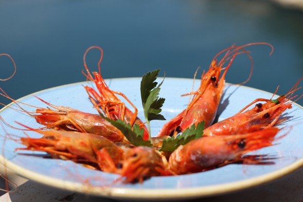 Imagen Gamba Roja al Ajillo