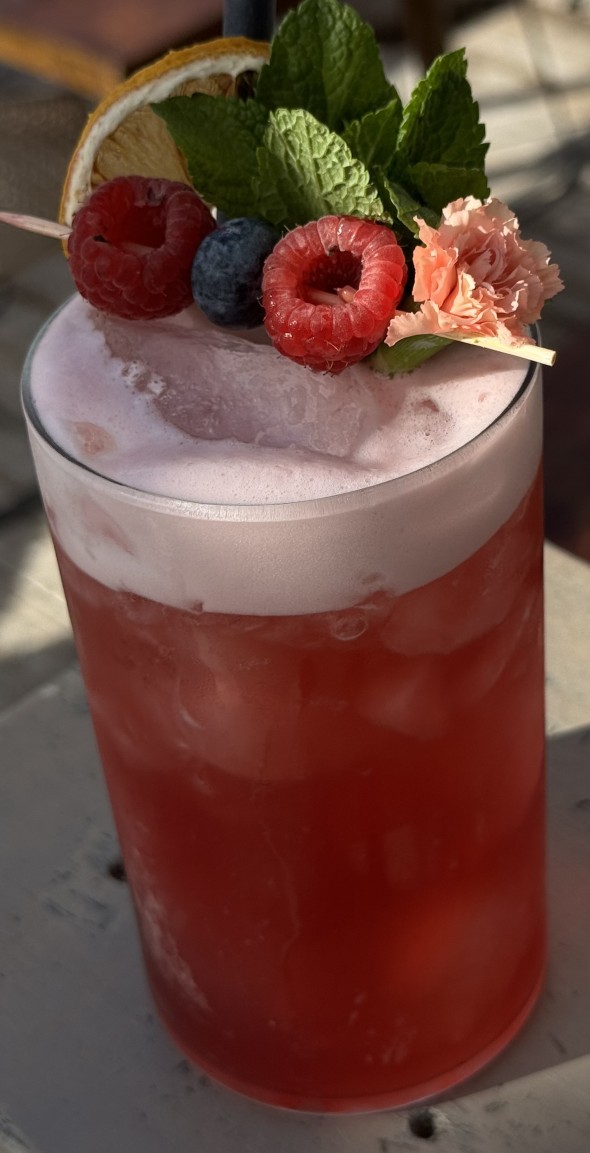 Imagen Ba-iced tea wild berries