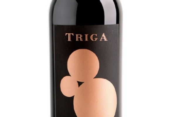 Imagen TRIGA
